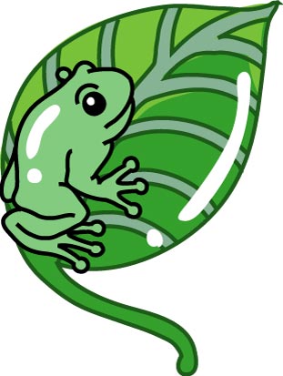 葉っぱの上のカエルのイラスト画像