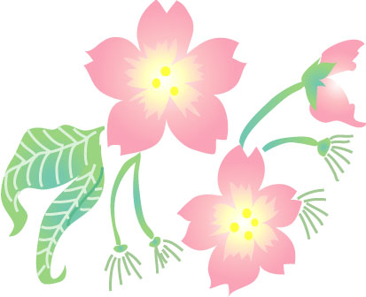桜の花のイラスト画像