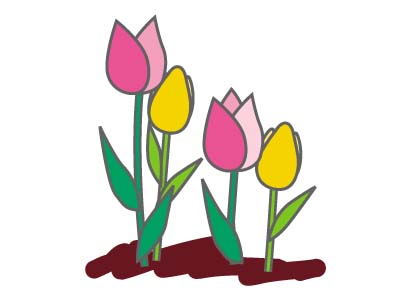 チューリップのイラスト画像