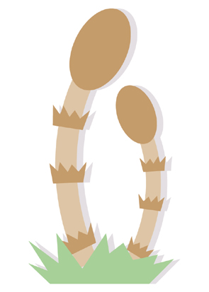 ツクシのイラスト画像