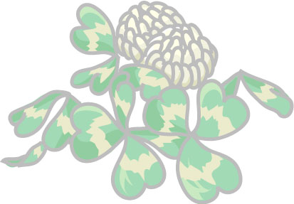 シロツメクサのイラスト画像