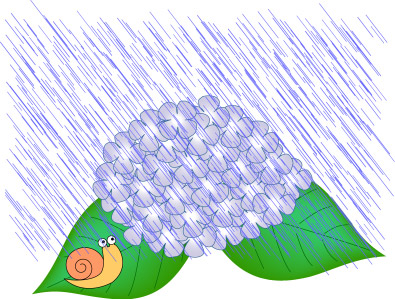 雨のアジサイとカタツムリのイラスト画像