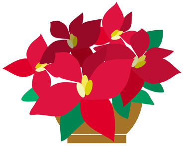 ポインセチアのイラスト画像