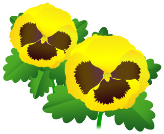 パンジーのイラスト画像