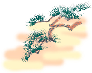 松のイラスト画像