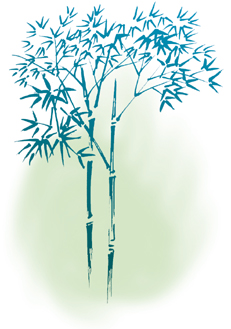 竹のイラスト画像