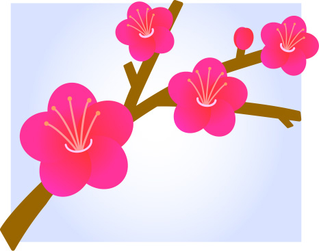 梅の木のイラスト画像