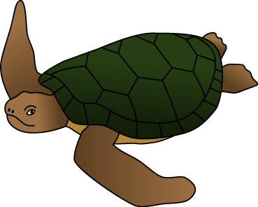 ウミガメのイラスト画像
