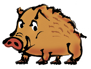 イノシシのイラスト画像