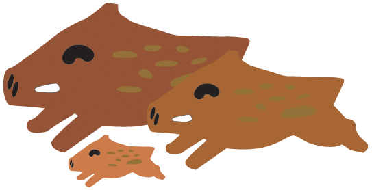 イノシシの親子のイラスト画像