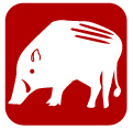 イノシシのイラスト画像