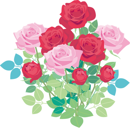 バラの花のイラスト画像