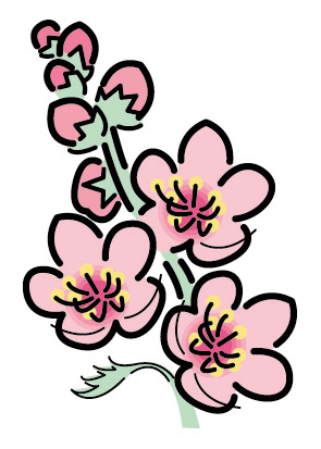 桃の花のイラスト画像