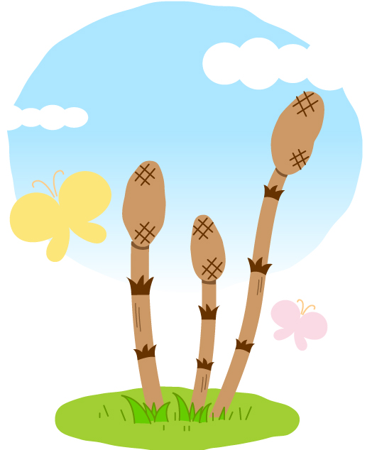 つくしのイラスト画像