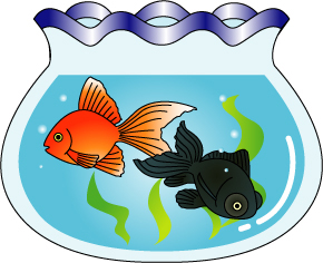 金魚鉢の金魚のイラスト画像