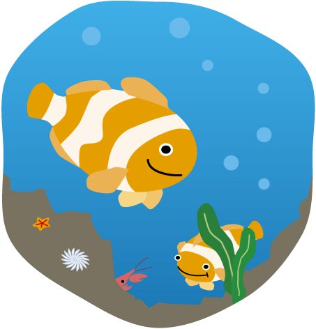 カクレクマノミのイラスト画像