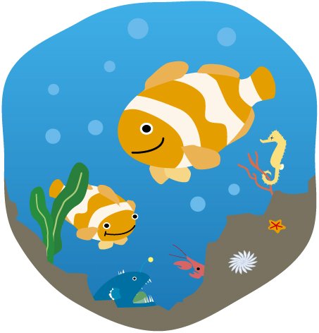 カクレクマノミのイラスト画像