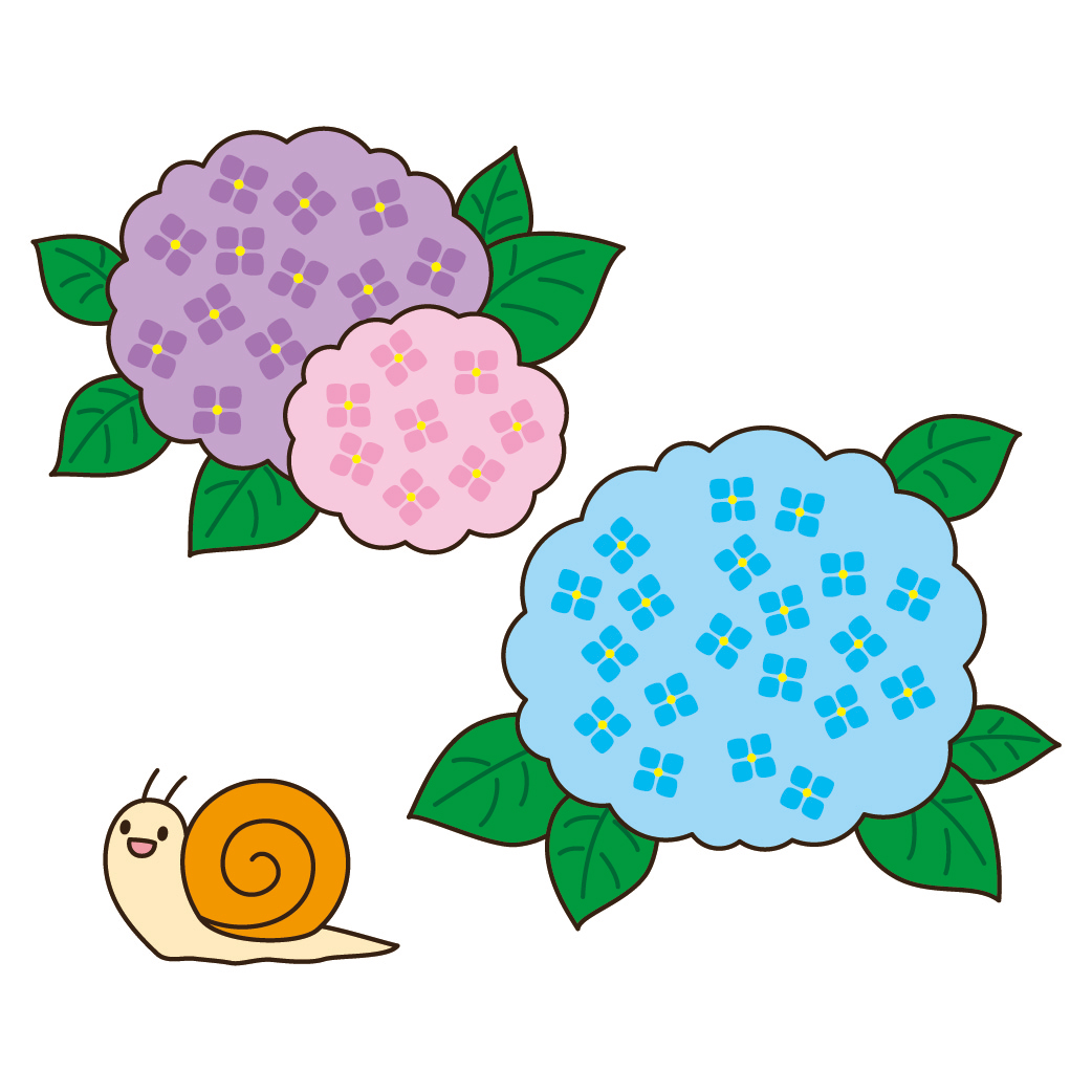 アジサイとカタツムリのイラスト画像