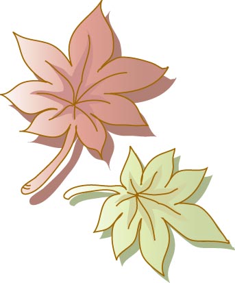 もみじのイラスト画像
