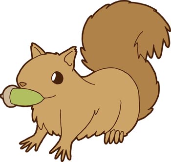 どんぐりをくわえるリスのイラスト画像
