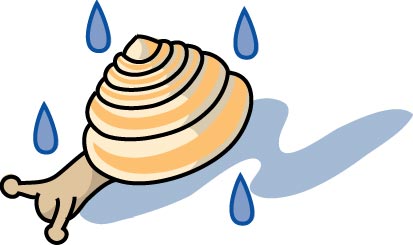 雨とカタツムリのイラスト画像