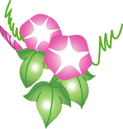 アサガオのイラスト画像