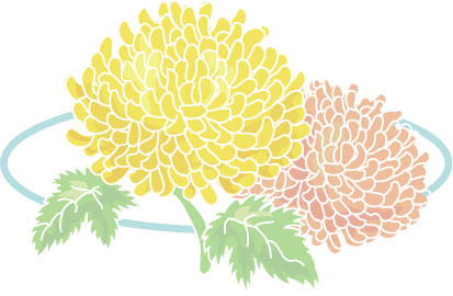 キクのイラスト画像
