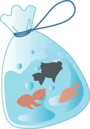 金魚すくいの金魚のイラスト画像
