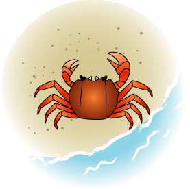 浜辺のカニのイラスト画像