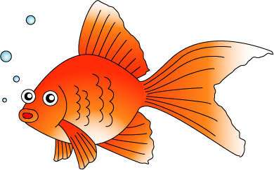 金魚のイラスト画像