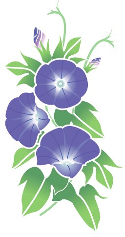 アサガオのイラスト画像