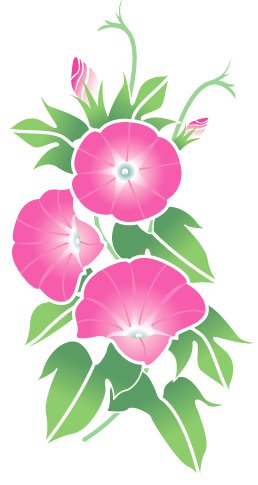 アサガオのイラスト画像