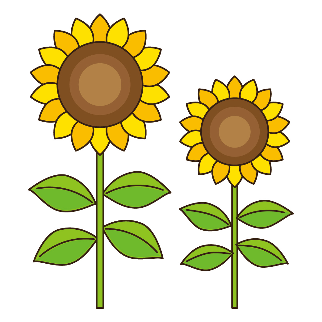 ヒマワリのイラスト画像