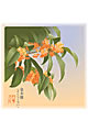 【画像】10月：金木犀（きんもくせい）