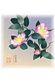 【画像】11月：山茶花（さざんか）