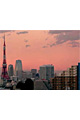 【画像】東京／夕景