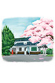 【画像】4月：徳島県・美馬市　小島駅