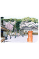 【画像】4月：奈良・長谷寺参道